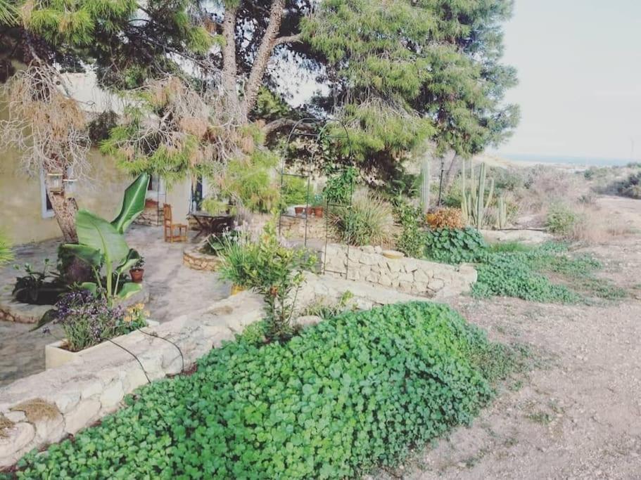 Oasis De Ifre Villa Canada de Gallego Luaran gambar