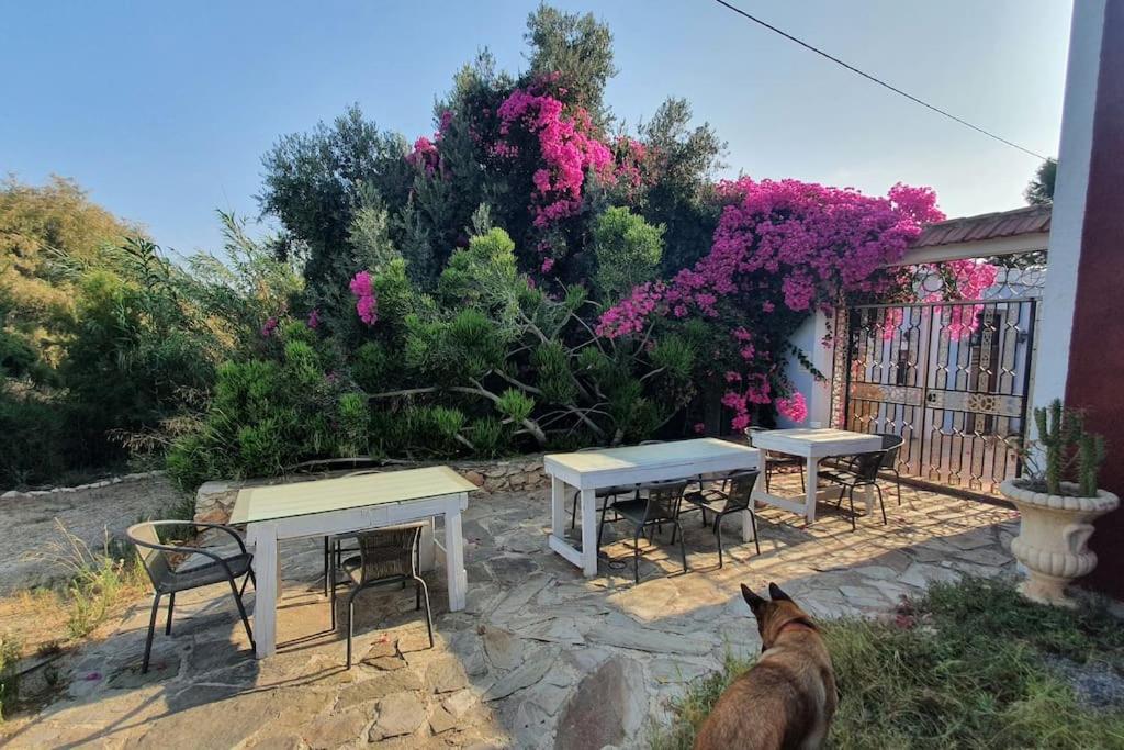 Oasis De Ifre Villa Canada de Gallego Luaran gambar
