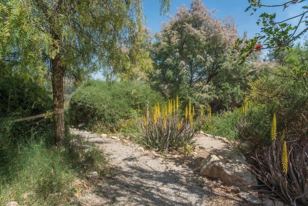 Oasis De Ifre Villa Canada de Gallego Luaran gambar
